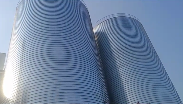 大荔2座混凝土高架卷板仓